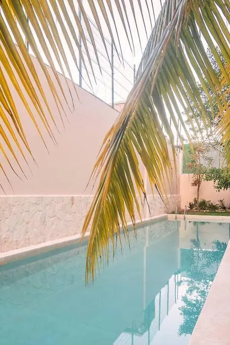 Apartamento Increible Loft Cerca De La Playa Playa del Carmen